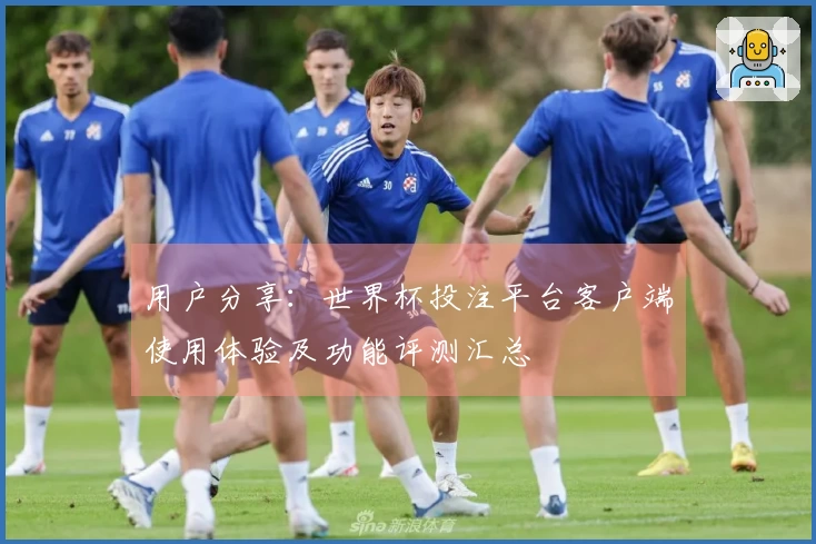 用户分享：世界杯投注平台客户端使用体验及功能评测汇总