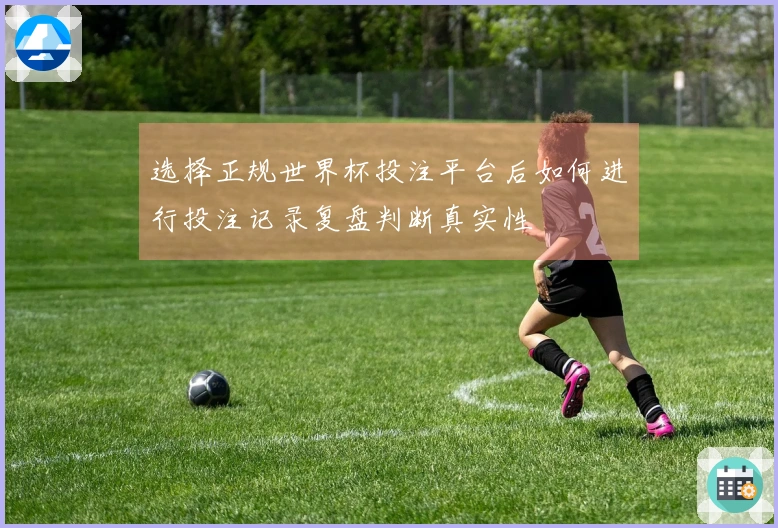 选择正规世界杯投注平台后如何进行投注记录复盘判断真实性