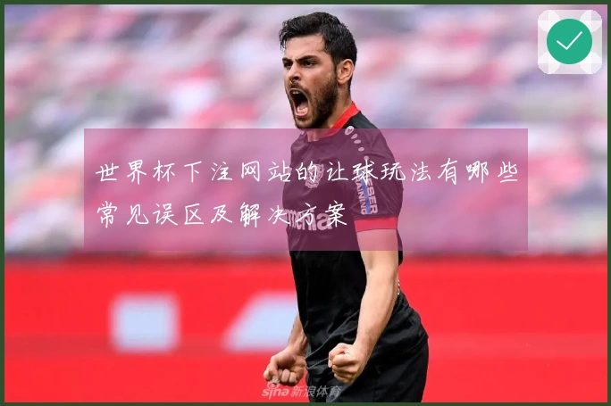 世界杯下注网站的让球玩法有哪些常见误区及解决方案