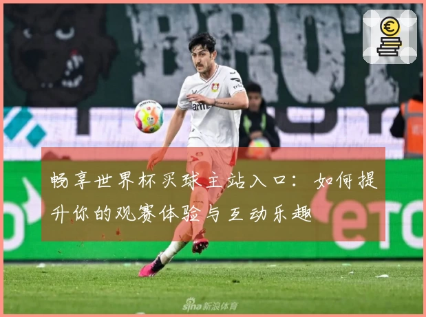 畅享世界杯买球主站入口：如何提升你的观赛体验与互动乐趣