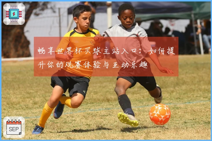 畅享世界杯买球主站入口：如何提升你的观赛体验与互动乐趣