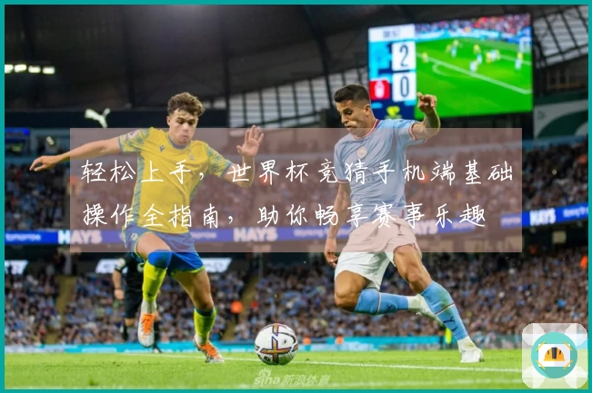 轻松上手,世界杯竞猜手机端基础操作全指南,助你畅享赛事乐趣