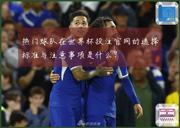 热门球队在世界杯投注官网的选择标准与注意事项是什么？