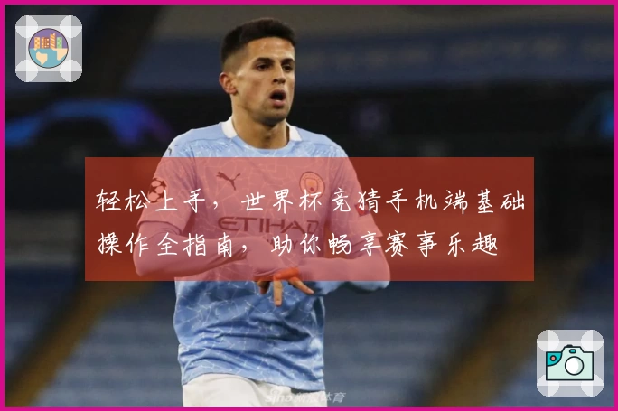 轻松上手，世界杯竞猜手机端基础操作全指南，助你畅享赛事乐趣