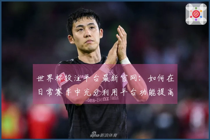 世界杯投注平台最新官网：如何在日常赛季中充分利用平台功能提高观赛体验