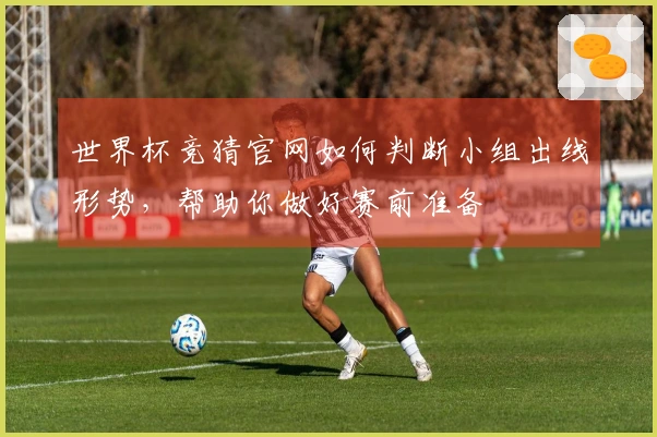 世界杯竞猜官网如何判断小组出线形势，帮助你做好赛前准备