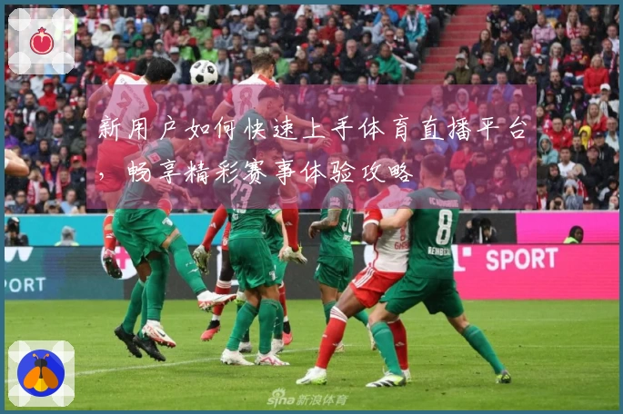 新用户如何快速上手体育直播平台，畅享精彩赛事体验攻略