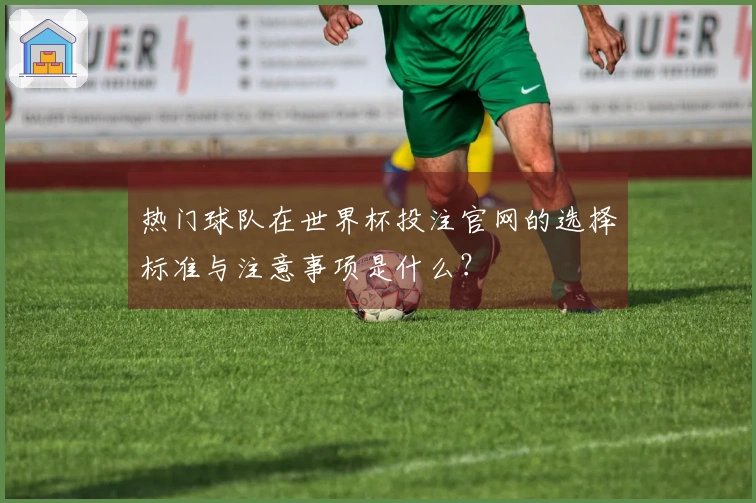热门球队在世界杯投注官网的选择标准与注意事项是什么？