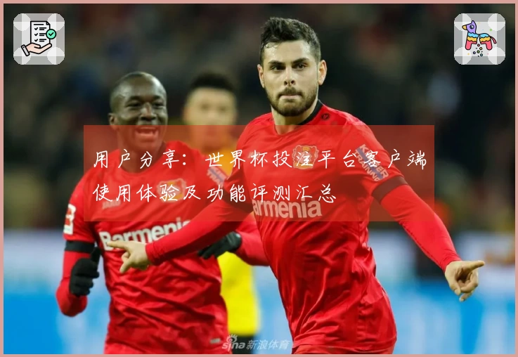 用户分享：世界杯投注平台客户端使用体验及功能评测汇总